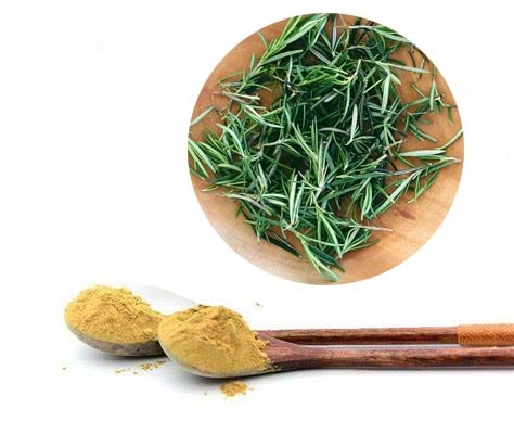 Food antioxidant natural rosemary extract 2%-50% rosmarinic acid powder